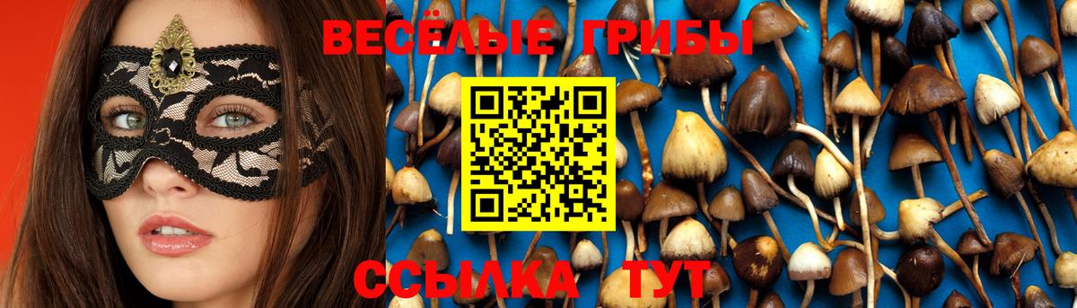 Галлюциногенные грибы мицелий Сертолово